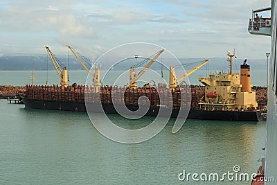 A bulk carrier ship taking on a large cargo of logs Editorial Stock Photo
