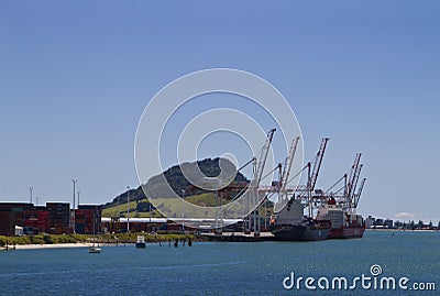 Port of Tauranga Editorial Stock Photo