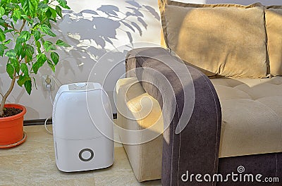 Portable dehumidifier collect water Stock Photo