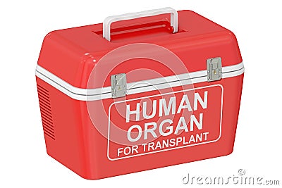 Portable fridge for transporting donor organs, 3D rendering Stock Photo