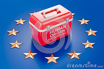 Portable fridge for transporting donor organs on the European Union flag. 3D Stock Photo