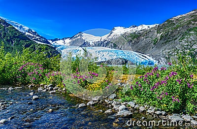 Portage Glacier, Alaska Stock Photo