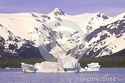 Portage Glacier and Portage Lake as seen from Seward Highway, Alaska Stock Photo