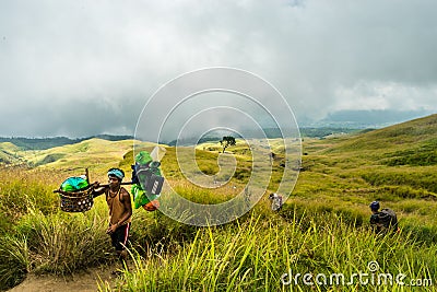 Porter in Grassland Editorial Stock Photo