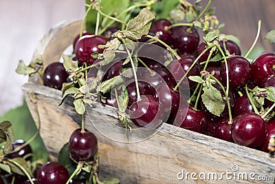 Portion of Cherries on wood Stock Photo