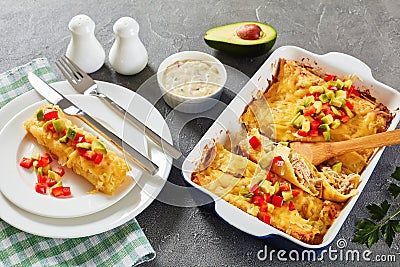 Portion of enchilada on plate Stock Photo
