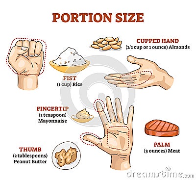 Portion size measurement and calculation for healthy diet outline diagram Vector Illustration