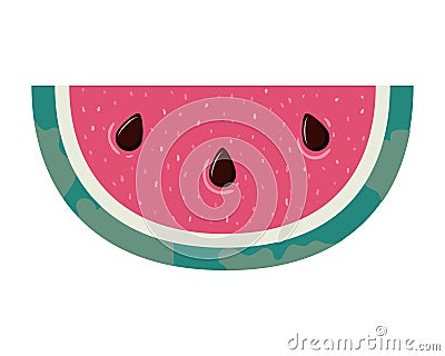 Portion of watermelon and white background Vector Illustration