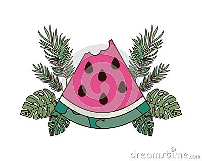 Portion of watermelon and white background Vector Illustration