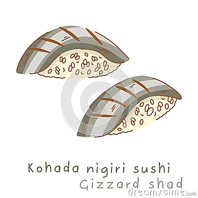 Portioned kohado nigiri sushi with gizzard shad on rice side view and three quarter view Vector Illustration