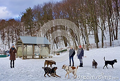 Portland Maine dog park on Valley Street in Winter, three women, several dogs, shelter hut Editorial Stock Photo