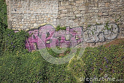 View of a garden with a older stone wall painted with a urban graffiti artwork Editorial Stock Photo