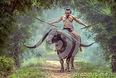 A portrai thai warrior in Ayutthaya costume he have dual swords and riding the long horn buffalo Stock Photo