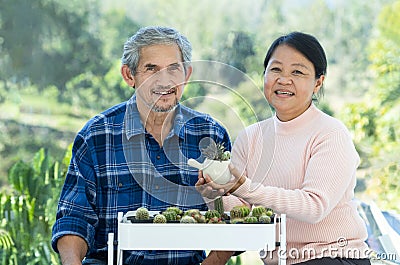 portrait active senior couple spend free time take care cactus plant together at home Stock Photo