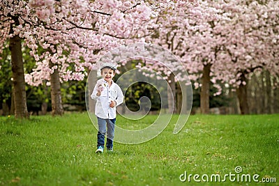 Portrait of adorable little boy in a cherry blossom tree garden, Stock Photo