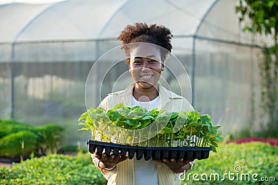 Portrait of an african worker in the nursery Happy in the greenhouse Stock Photo