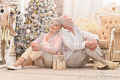 Amusing couple with Christmas present near tree Stock Photo