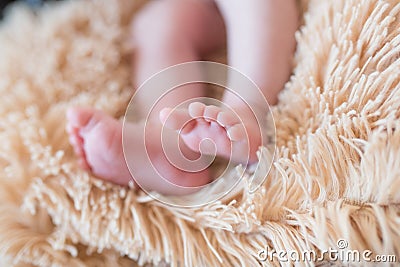 Portrait of asian parent hands holding newborn baby fingers, Closeup mother s hand holding their new born baby. Love family Stock Photo