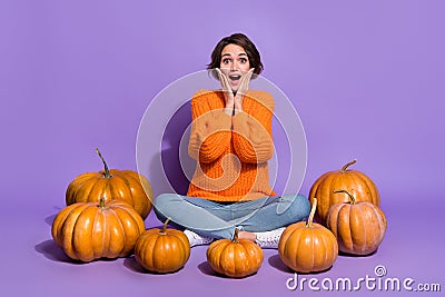 Portrait of attractive amazed cheerful girl sitting among pumpkins sale reaction isolated on vivid purple violet color Stock Photo