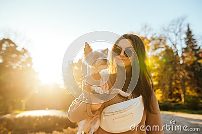Portrait of an attractive dog-owner female in stylish sunglasses holding her terrier on a sunny day in the park Stock Photo