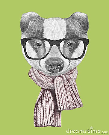 Portrait of Badger with glasses and scarf. Cartoon Illustration