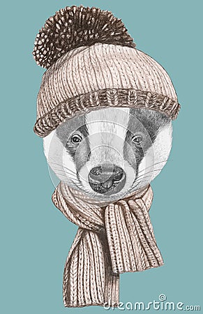 Portrait of Badger with hat and scarf. Cartoon Illustration