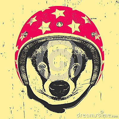 Portrait of Badger with Helmet. Vector Illustration