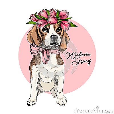 Portrait of beagle dog wearing tulip crown. Welcome spring. Hand drawn colored vector illustration. Engraved detailed Vector Illustration