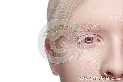 Portrait of beautiful albino woman isolated on white studio background. Beauty, fashion, skincare, cosmetics concept. Stock Photo