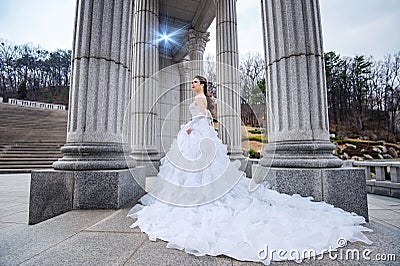 Portrait of the beautiful bride wedding. Stock Photo