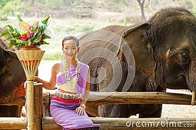 Portrait of Beautiful rural thai woman wear Thai northern traditional dress acting for phot shoot with Asian elephant on blurred Stock Photo