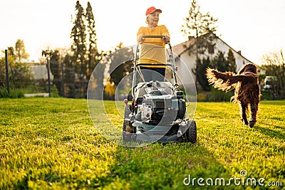 50s woman cutting grass with gasoline lawn mower, gardening on the backyard in the countryside Stock Photo