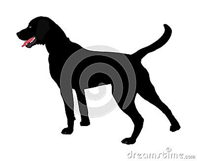 Portrait of black Labrador Retriever vector. Cartoon Illustration