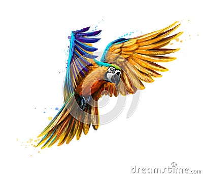 Portrait blue-and-yellow macaw in flight from a splash of watercolor. Ara parrot, Tropical parrot Vector Illustration