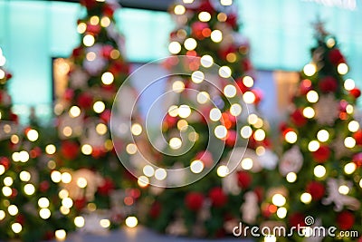 Blurred Christmas Trees With Illuminating Lights Outdoors Stock Photo