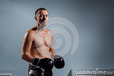 Portrait of boxer in Boxing gloves on gray background Stock Photo