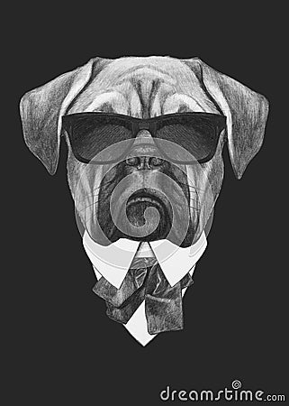 Portrait of Boxer in suit. Cartoon Illustration