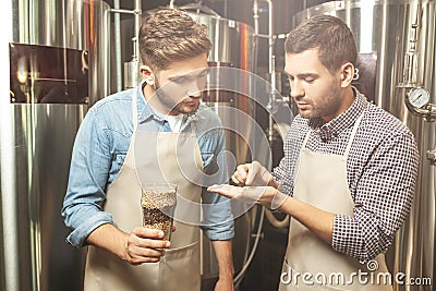 Brewers looking at hop grains for beer production Stock Photo