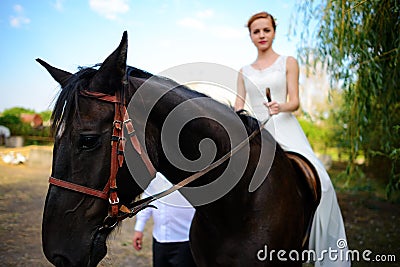 Portrait of a bride on horseback on the background of a summer s Stock Photo