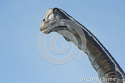Portrait of a brontosaurus over blu sky Stock Photo