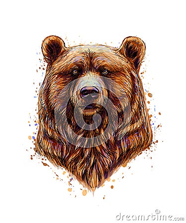 Portrait of a brown bear head from a splash of watercolor Vector Illustration