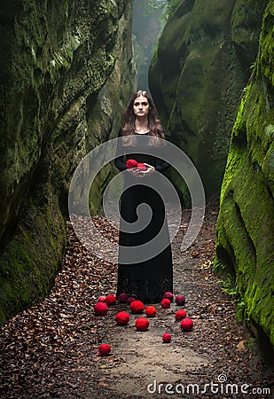 Portrait of a brunette in a black dress that stands near the rocks and holds in his hands Stock Photo