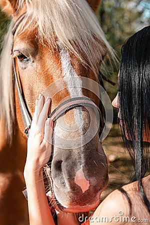 Portrait of a brunette woman stroking the muzzle of a horse close-up Stock Photo