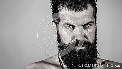 Portrait brutal bearded man. Handsome brutal male. Sexy closeup portrait of brutal handsome male, black beard. Sexy look Stock Photo