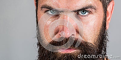 Portrait brutal bearded man. Handsome brutal male. Sexy closeup portrait of brutal handsome male, black beard. Portrait Stock Photo