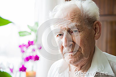 Portrait of a calm old man Stock Photo