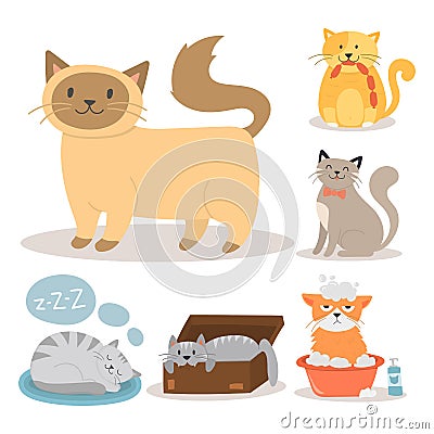 Portrait cat animal pet cute kitten purebred feline kitty domestic fur adorable mammal character vector illustration. Vector Illustration