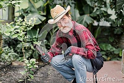 Portrait of cheerful Caucasian bearded elderly man in garden working with shovel and rake and smiling to camera. Happy Stock Photo