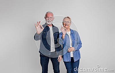 Portrait of cheerful senior couple showing OK signs while standing confidently on white background Stock Photo