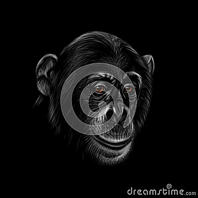 Portrait of a chimpanzee head on a black background Vector Illustration